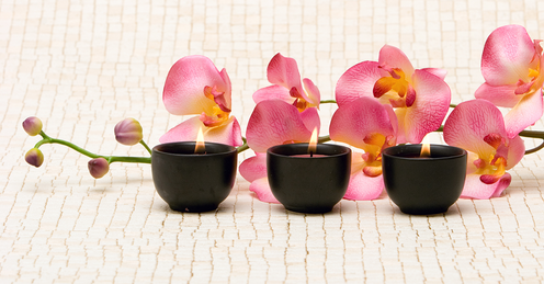 Orchidee muziekwaterbed